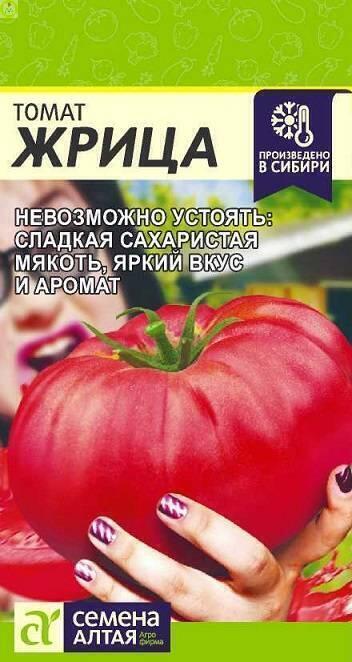 Купить оптом в Ботанике семена Томат Жрица СА бренд Семена Алтая