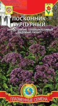 Купить оптом в Ботанике семена Посконник Пурпурный Плз бренд Плазмас