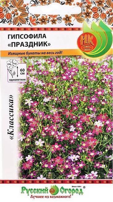 Купить оптом в Ботанике семена Гипсофила Праздник, смесь НК бренд НК