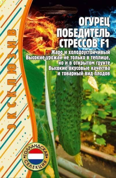 Купить оптом в Ботанике семена Огурец Победитель Стрессов Голландия Реш бренд Решение, ООО