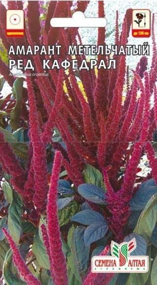Купить оптом в Ботанике семена Амарант Ред Кафедрал метельчатый СА бренд Семена Алтая