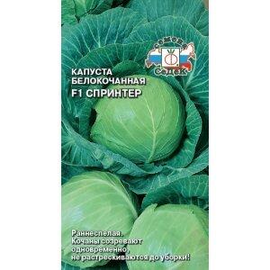 Купить оптом в Ботанике семена Капуста белокочанная Спринтер F1 Сед бренд СеДеК