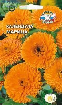 Купить оптом в Ботанике семена Календула Марица Сед бренд СеДеК