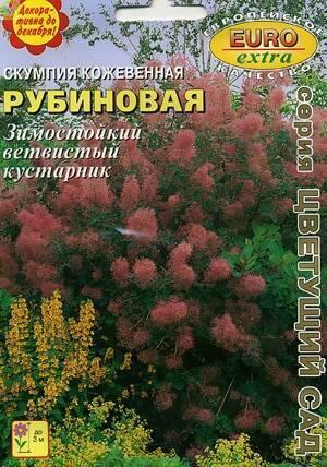 Купить оптом в Ботанике семена Скумпия Рубиновая кожевенная Аэл бренд Аэлита