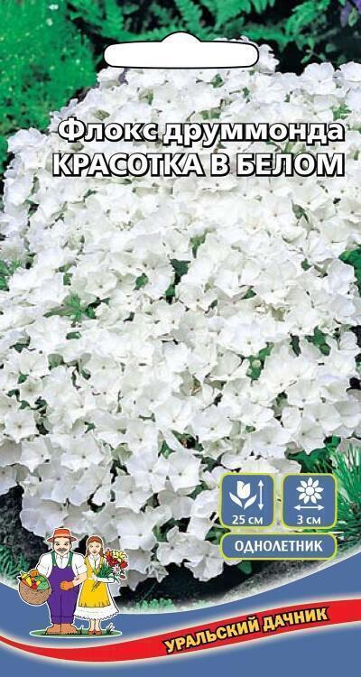 Купить оптом в Ботанике семена Флокс Красотка в белом УД бренд Уральский дачник