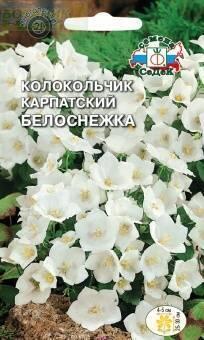 Купить оптом в Ботанике семена Колокольчик Белоснежка карпатский Сед бренд СеДеК