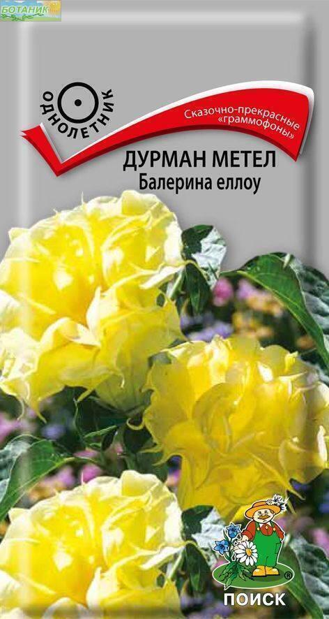 Купить оптом в Ботанике семена Дурман Балерина еллоу Поиск бренд Поиск