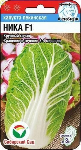 Купить оптом в Ботанике семена Капуста пекинская Ника F1 СС бренд Сиб.сад