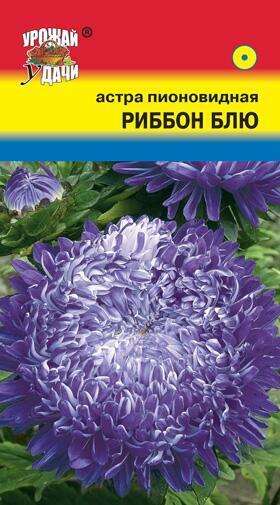 Купить оптом в Ботанике семена Астра Риббон блю пионовидная УУ бренд Урожай Удачи