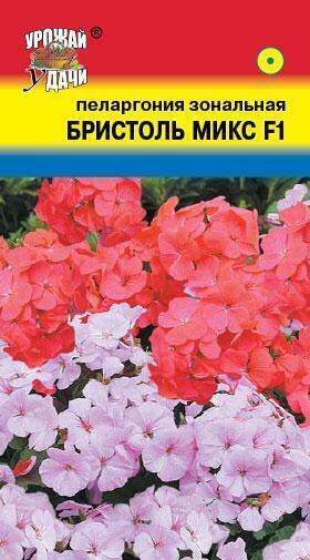 Купить оптом в Ботанике семена Пеларгония Бристоль микс F1 УУ бренд Урожай Удачи