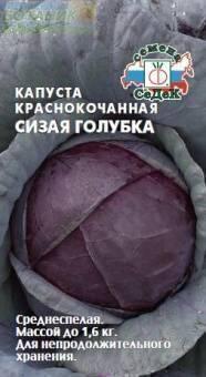 Купить оптом в Ботанике семена Капуста краснокочанная Сизая голубка Сед бренд СеДеК