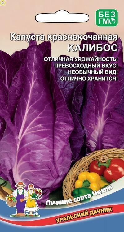 Купить оптом в Ботанике семена Капуста краснокочанная Калибос УД бренд Уральский дачник