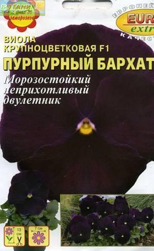 Купить оптом в Ботанике семена Виола Пурпурный бархат крупноцветковая Аэл бренд Аэлита