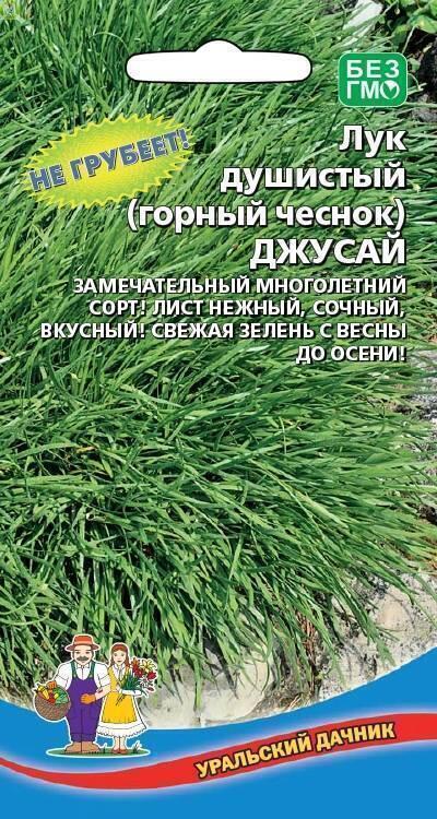 Купить оптом в Ботанике семена Лук душистый Джусай УД бренд Уральский дачник