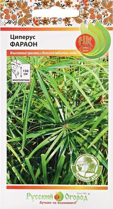 Купить оптом в Ботанике семена Циперус Фараон НК бренд НК