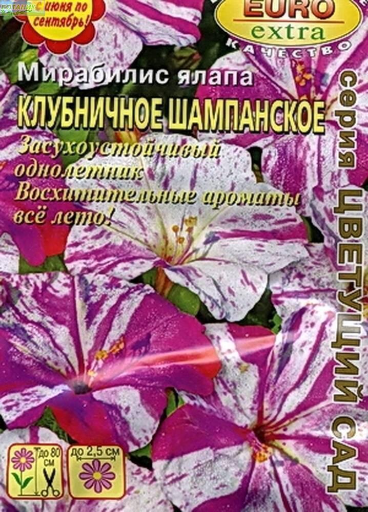 Купить оптом в Ботанике семена Мирабилис Клубничное шампанское Аэл бренд Аэлита