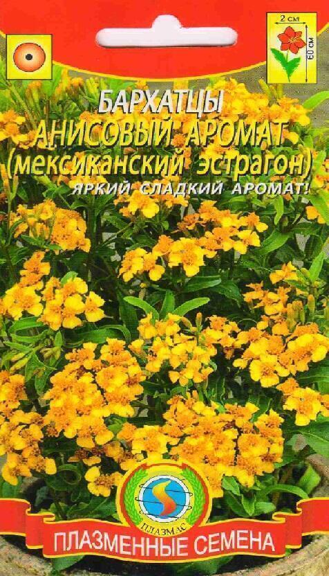 Купить оптом в Ботанике семена Бархатцы Анисовый аромат Плз бренд Плазмас