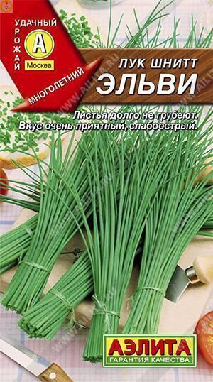 Купить оптом в Ботанике семена Лук шнитт Эльви Аэл бренд Аэлита