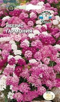 Купить оптом в Ботанике семена Иберис Гармония зонтичный Сед бренд СеДеК