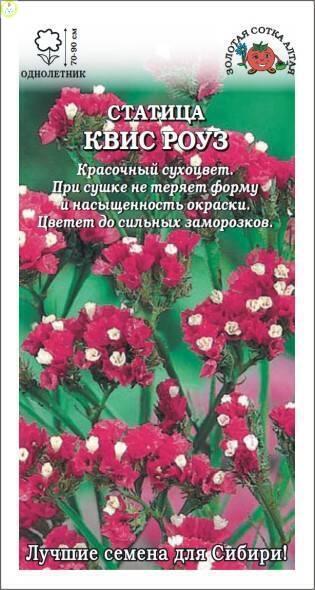 Купить оптом в Ботанике семена Статица Квис роуз ЗС бренд Золотая сотка