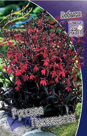 Купить оптом в Ботанике Лобелия Русская Принцесса 1 шт