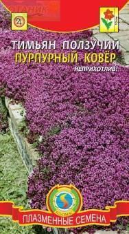 Купить оптом в Ботанике семена Тимьян Пурпурный ковер Плз бренд Плазмас