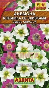 Купить оптом в Ботанике семена Анемона Клубника со сливками Аэл бренд Аэлита
