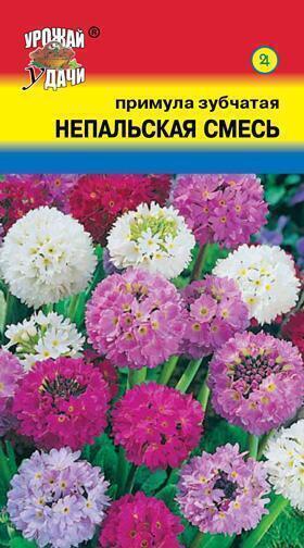 Купить оптом в Ботанике семена Примула Зубчатая Непальская смесь УУ бренд Урожай Удачи