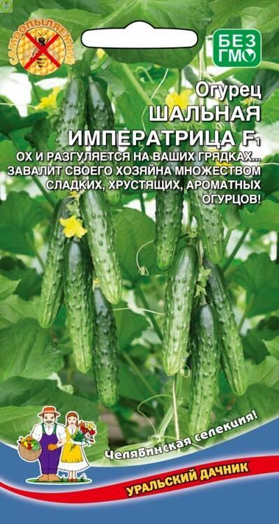 Купить оптом в Ботанике семена Огурец Шальная императрица F1 УД бренд Уральский дачник