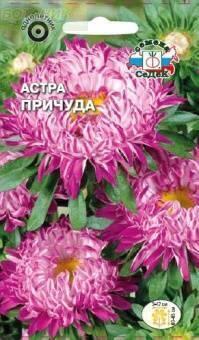 Купить оптом в Ботанике семена Астра Причуда Сед бренд СеДеК