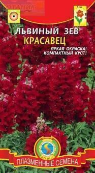 Купить оптом в Ботанике семена Львиный зев Красавец Плз бренд Плазмас