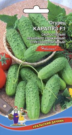 Купить оптом в Ботанике семена Огурец Карапуз F1 УД бренд Уральский дачник