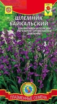 Купить оптом в Ботанике семена Шлемник Байкальский Плз бренд Плазмас