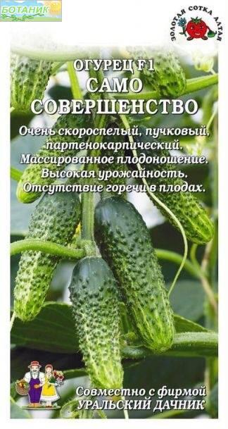 Купить оптом в Ботанике семена Огурец Само совершенство F1 ЗС бренд Золотая сотка
