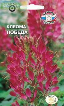 Купить оптом в Ботанике семена Клеома Победа Сед бренд СеДеК