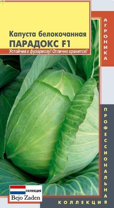 Купить оптом в Ботанике семена Капуста белокочанная Парадокс F1 Плз бренд Плазмас