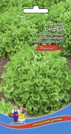Купить оптом в Ботанике семена Салат Орфей УД бренд Уральский дачник