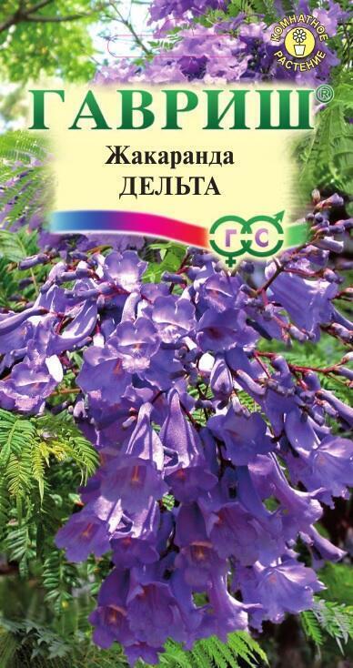 Купить оптом в Ботанике семена Жакаранда Дельта Гав бренд Гавриш