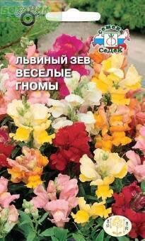 Купить оптом в Ботанике семена Львиный зев Веселые гномы Сед бренд СеДеК