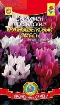Купить оптом в Ботанике семена Цикламен Крупноцветковый смесь Плз бренд Плазмас