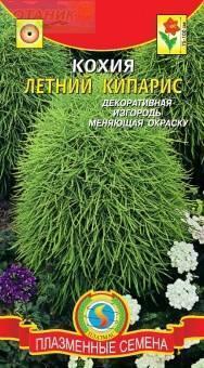Купить оптом в Ботанике семена Кохия Летний кипарис Плз бренд Плазмас