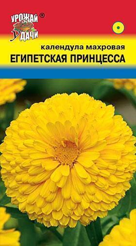 Купить оптом в Ботанике семена Календула Египетская принцесса УУ бренд Урожай Удачи