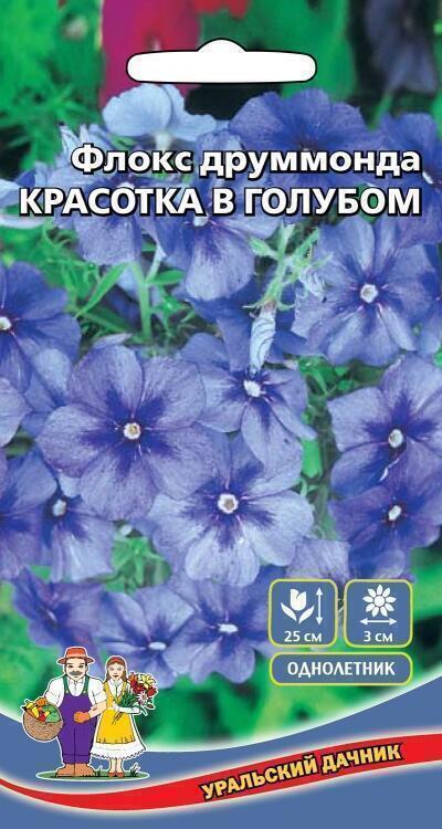 Купить оптом в Ботанике семена Флокс Красотка в голубом УД бренд Уральский дачник