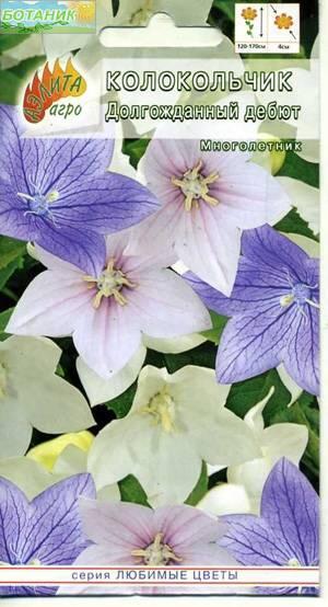 Купить оптом в Ботанике семена Колокольчик Долгожданный дебют * Аэл бренд Аэлита