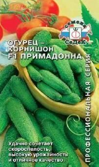 Купить оптом в Ботанике семена Огурец Примадонна F1 Сед бренд СеДеК