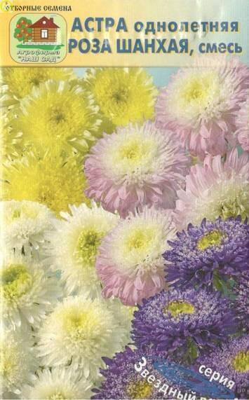 Купить оптом в Ботанике семена Астра Роза Шанхая смесь Наш бренд Наш сад
