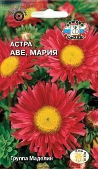 Купить оптом в Ботанике семена Астра Аве-Мария (Маделин) Сед бренд СеДеК