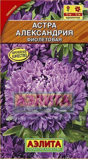 Купить оптом в Ботанике семена Астра Александрия фиолетовая Аэл бренд Аэлита