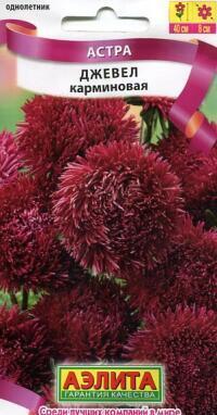 Купить оптом в Ботанике семена Астра Джевел карминовая Аэл бренд Аэлита