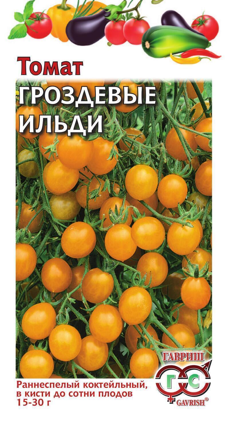 Гроздевой томат описание и фото. Сорт черри Ильди. Томат Гроздевые Ильди. Томат гроздевой Семко. Томат грязевые ильдиди.